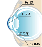 ハードコンタクトレンズの仕組み