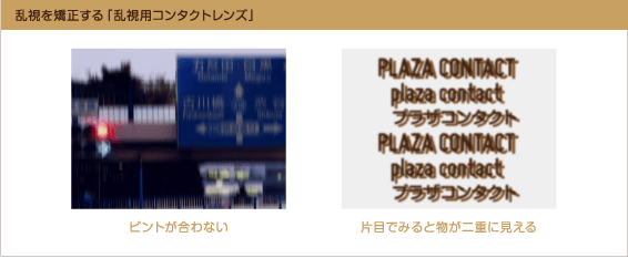 プラザコンタクト レンズの種類